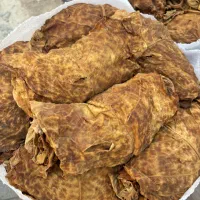 کاهو برگ پلنگی برگ سرخ