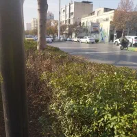 پراید مدل۸۴دوگانه نوک مدادی