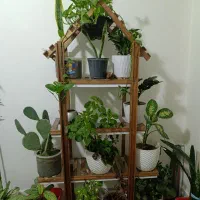 استندچوبی گل 2/000ادویه جات وکافه بار