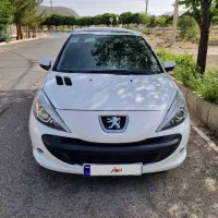 207 پاناروما فرمان برقی