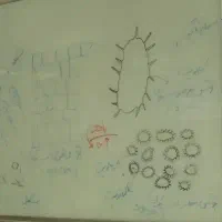 تدریس خصوصی و گروهی