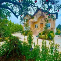 دریاچه همصفا سرسبزدلبازسندتک برگ جنگلی شهرکی