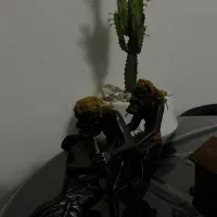 ست چوبی|صنایع دستی و سایر لوازم تزئینی|تهران, خواجه نصیر طوسی|دیوار