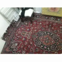 یک عدد فرش دست بافت|فرش|مشهد, فرودگاه|دیوار