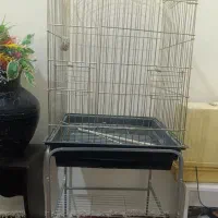 قفس پرنده|لوازم جانبی حیوانات|مشهد, محمدآباد|دیوار