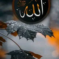 خدمات برق تکنو طراح ومجری سیم کشی ساختمان