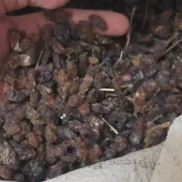 کشمش خواراکی و غیر خوارکی|عمدهفروشی|خلیل آباد, |دیوار