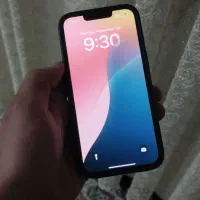 ایفون 13معمولی ch