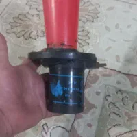 بوق گاوی
