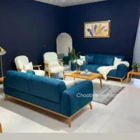 تولدی صفدری