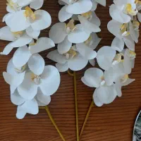 ارکیده لمسی