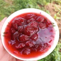 مربا توت فرنگی وحشی