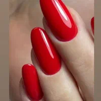 جذب ناخنکار مبتدی و حرفه ای