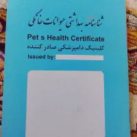 شناسنامه گربه|گربه|پرند, فاز ۶|دیوار