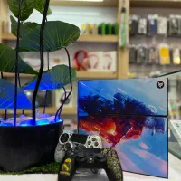 پس اس ۴ کپی خور