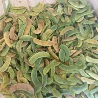 لوبیا سفید نرمه تازه