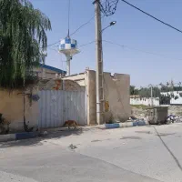 سوله بهداشتی