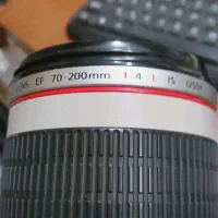 هاردولنز