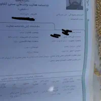 دعوت به همکاری فروشگاه های طب سنتی و عطاری ها|عمده‌فروشی|تهران, تهرانپارس شرقی|دیوار