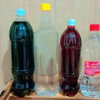 شربت گل و شربت نعناع و رب انار