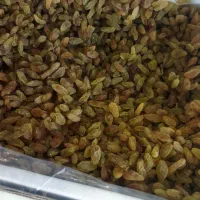 کشمش سبز درجه یک