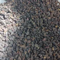 کشمش آفتابی شیرازی بدون هسته وسوک فروش بصورت عمده