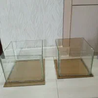 آکواریوم