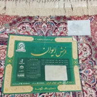 قالی|فرش|گلبهار, شهر جدید گلبهار|دیوار