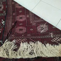 فرش دستباف ترکمن|فرش|گنبد کاووس, |دیوار