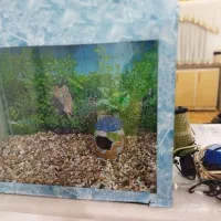 آکواریوم با تمام تجهیزات