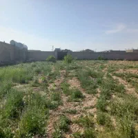 زمین دور دیوار کلاکوب|فروش زمین و ملک کلنگی|مشهد, کلاکوب|دیوار