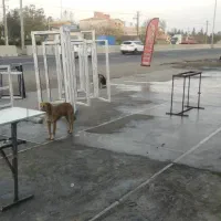 upvc پنجره دوجداره، ۰تا۱۰۰ساختمان|خدمات پیشه و مهارت|بندر انزلی, طالب آباد|دیوار