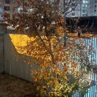 فروش-زمین-مسکونی-والفجر200متری