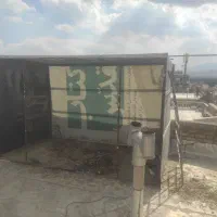 لانه کبوتر یا...