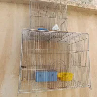روشنای گازی و قفس پرنده
