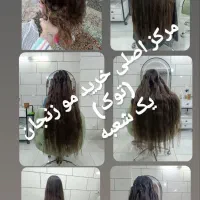 موی طبیعی خریدار اصل (توک)