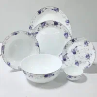 تخفیف ویژه ی سرویس ارکوپال