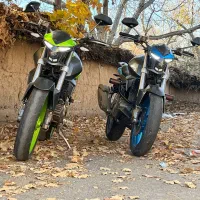 زونتس 250s