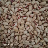 فروش پسته احمد آقایی