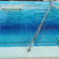 آکواریوم و ال ای دی