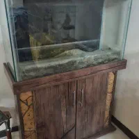 آکواریم عرض ۷۰ سالم