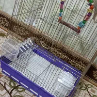 قفس پرنده|لوازم جانبی حیوانات|سبزوار, طبرسی (جعفرآباد)|دیوار