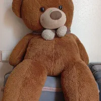 خرس  قهوه ای