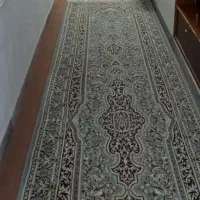 کناره فیلی رنگ کویر