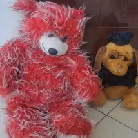 عروسک پولیشی بزرگ وسالم دوعدد