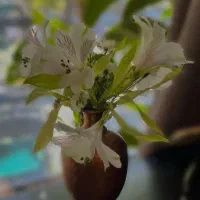 ممنون از راهنمایی
