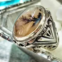 شجر تک درخت بی نظیر|جواهرات|زنجان, |دیوار