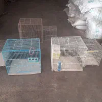 قفس ، قفس قناری ، قفس طوطی ، مرغ عشق|لوازم جانبی حیوانات|رباطکریم, نوده|دیوار