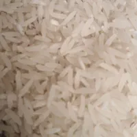 برنج فجر زرین گل