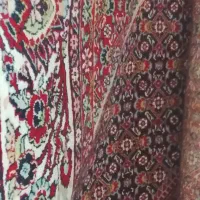 فروش قالی 12متری ماشینی.700شانه دست دوم